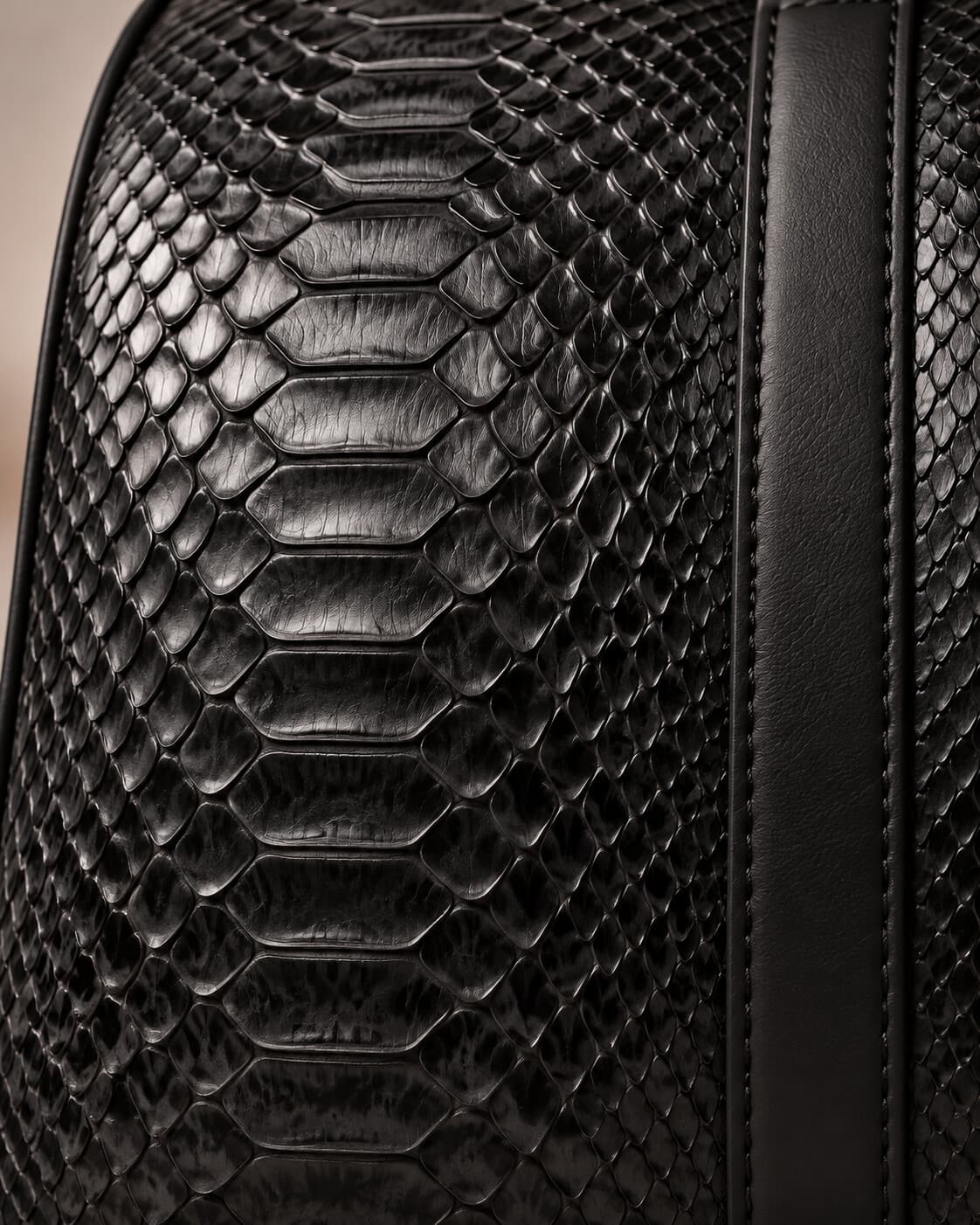 Black python skin