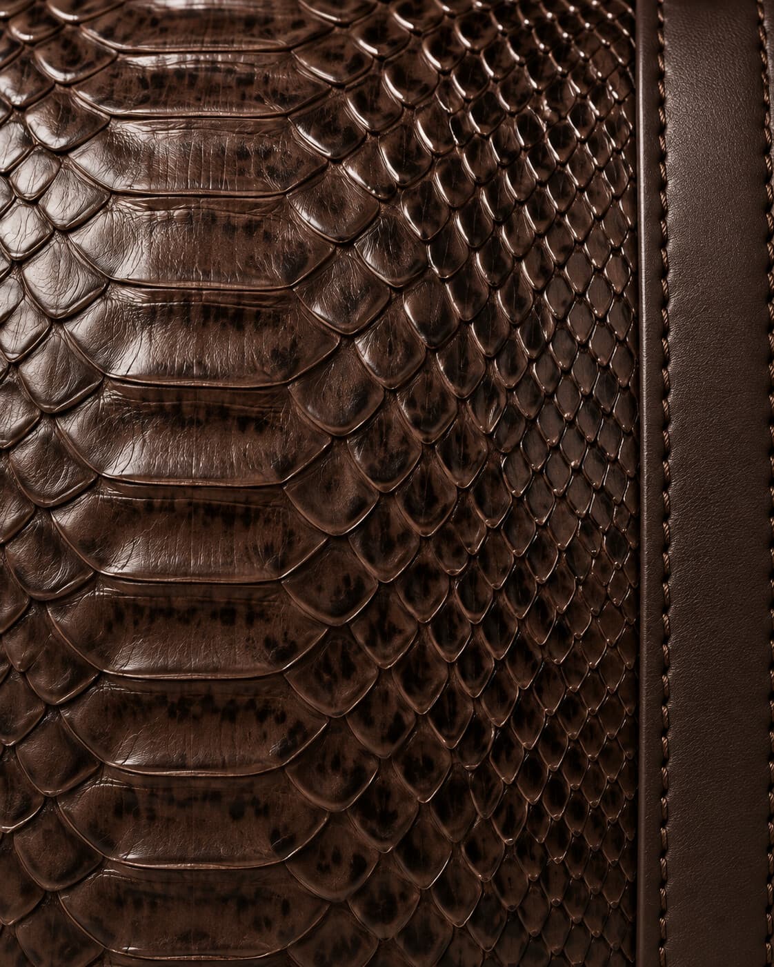 Chocolate Brown python skin
