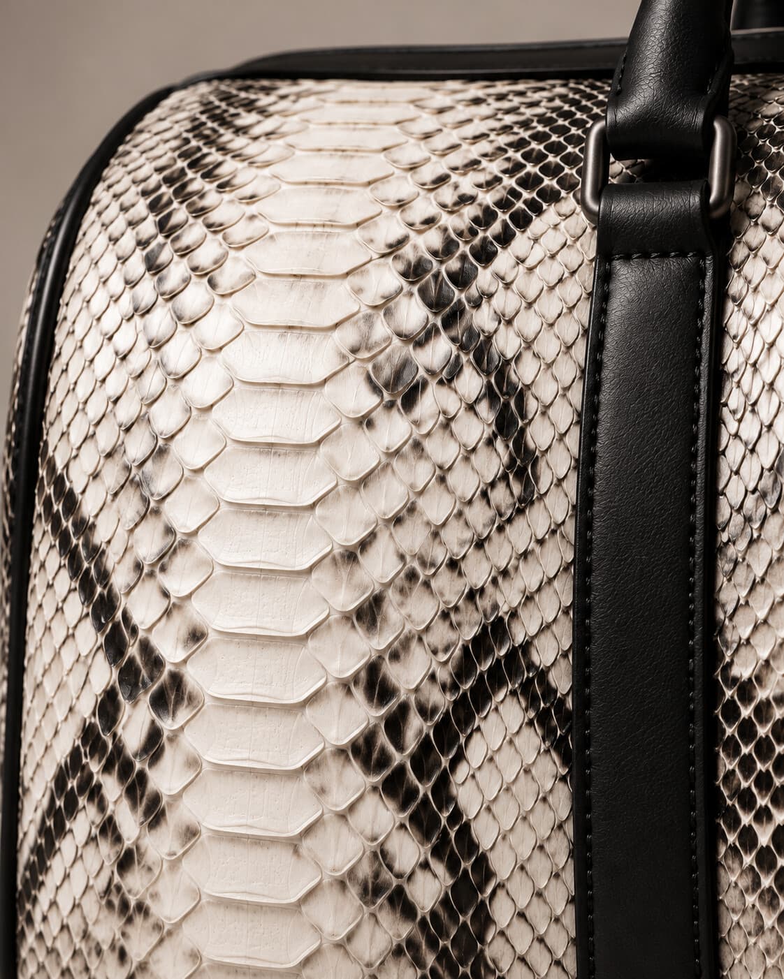 Himalayan Black python skin