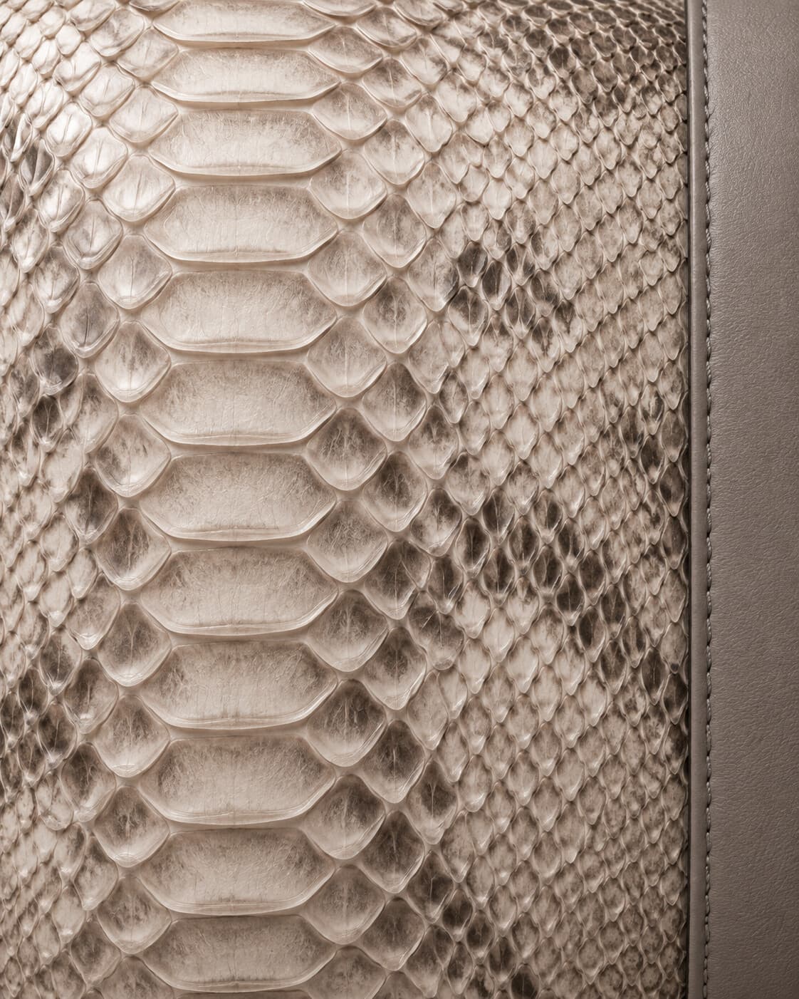 Himalayan Grey python skin