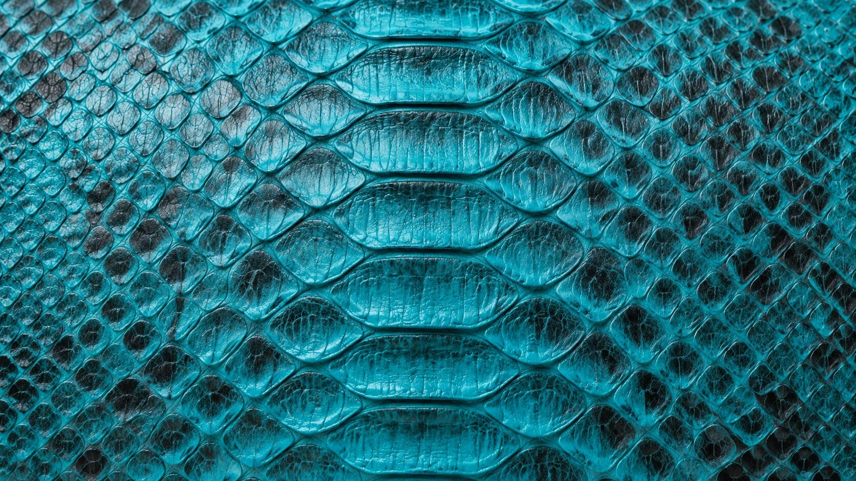 Close view of turquoise python scales