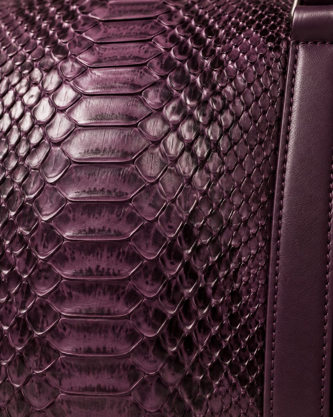 Plum python skin