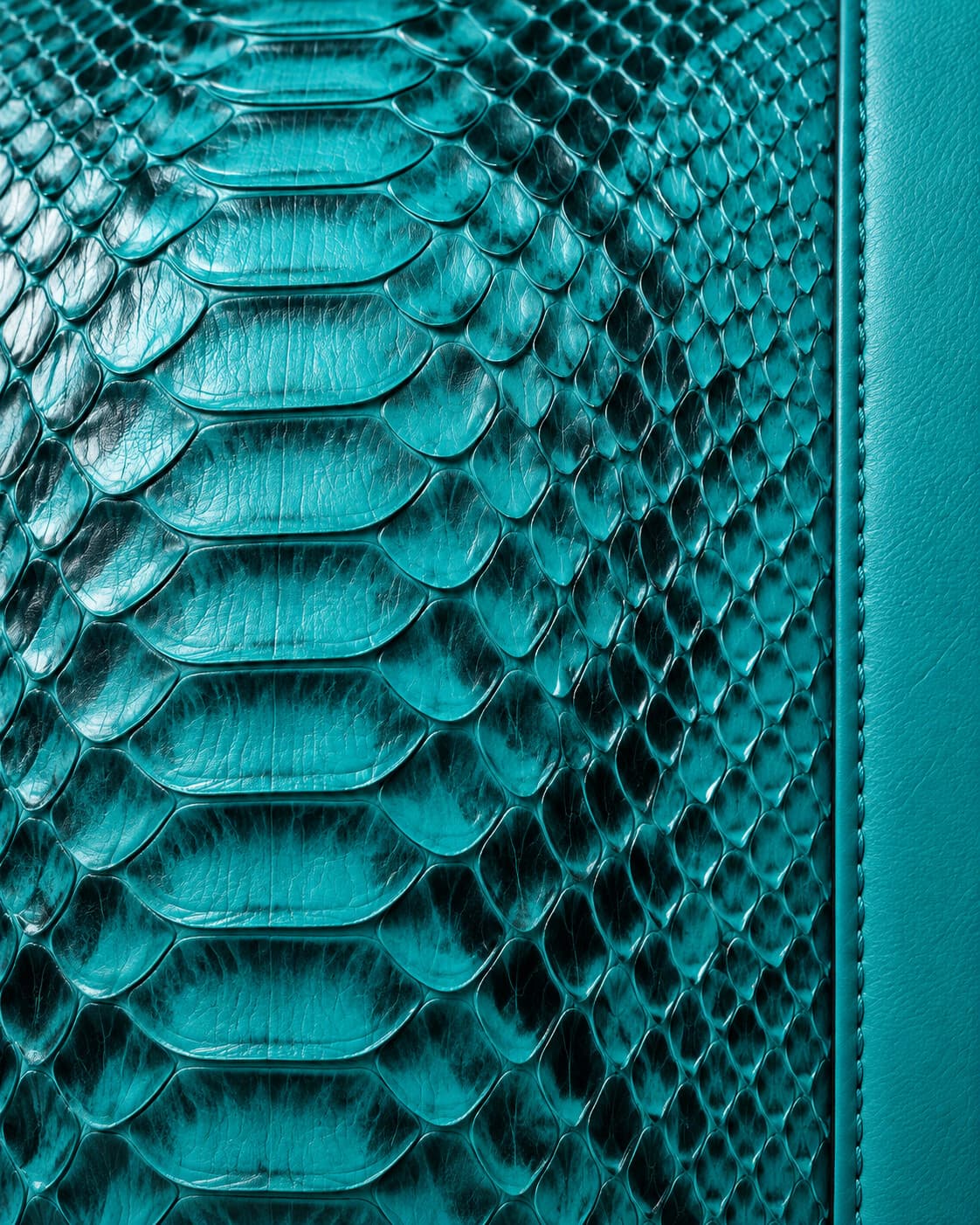 Turquoise python skin
